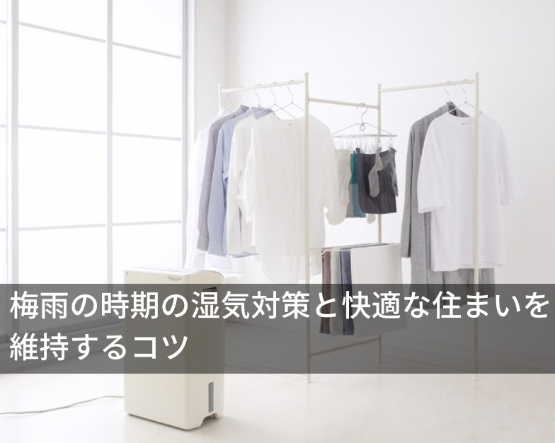 梅雨の時期の湿気対策と快適な住まいを維持するコツ